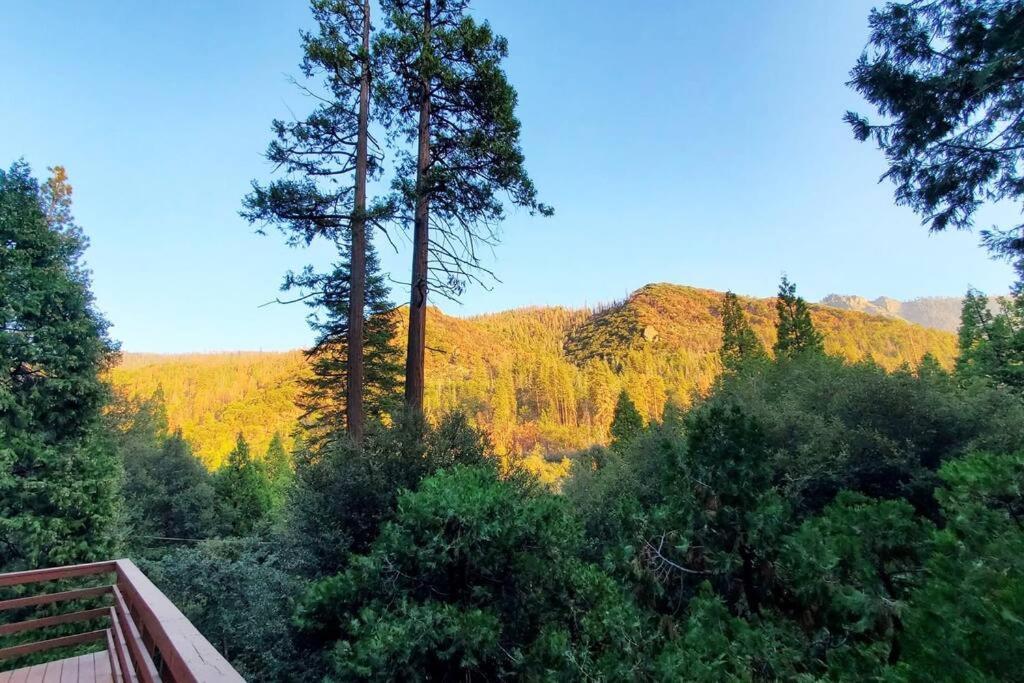 Redwood Retreat, Mountains, Adventure And Nature Ponderosa Εξωτερικό φωτογραφία