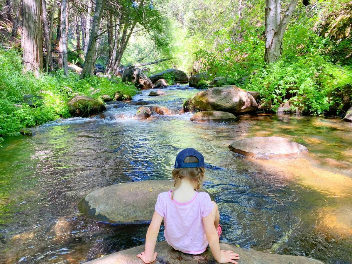 Redwood Retreat, Mountains, Adventure And Nature Ponderosa Εξωτερικό φωτογραφία