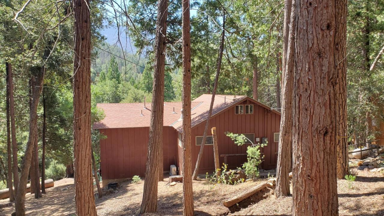 Redwood Retreat, Mountains, Adventure And Nature Ponderosa Εξωτερικό φωτογραφία