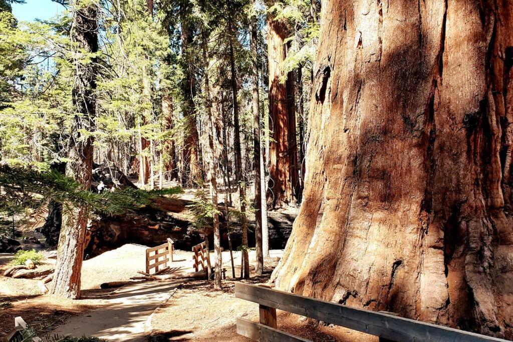 Redwood Retreat, Mountains, Adventure And Nature Ponderosa Εξωτερικό φωτογραφία