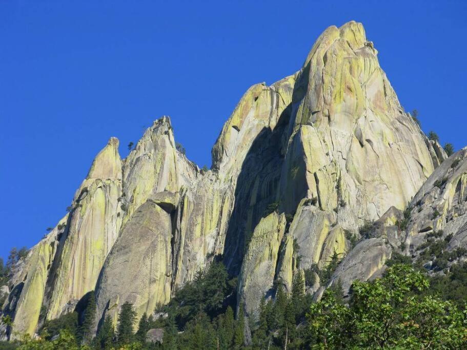 Redwood Retreat, Mountains, Adventure And Nature Ponderosa Εξωτερικό φωτογραφία
