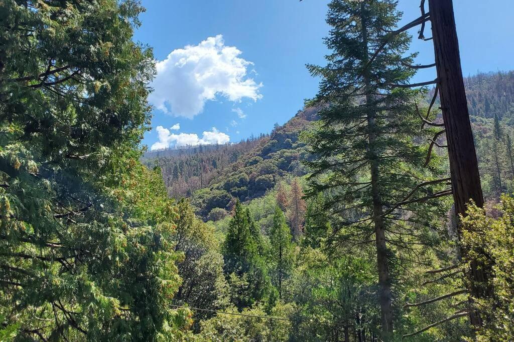 Redwood Retreat, Mountains, Adventure And Nature Ponderosa Εξωτερικό φωτογραφία