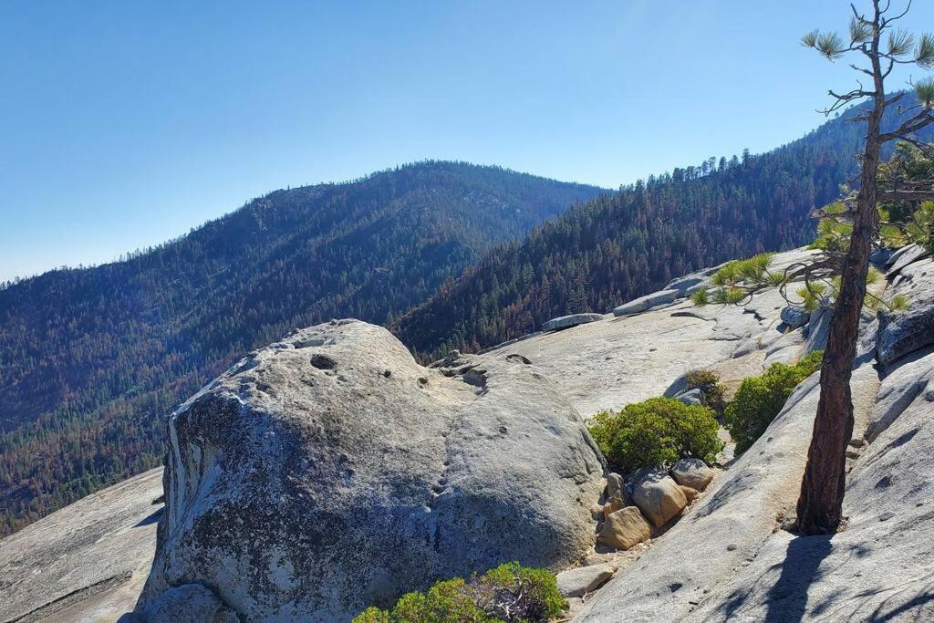 Redwood Retreat, Mountains, Adventure And Nature Ponderosa Εξωτερικό φωτογραφία