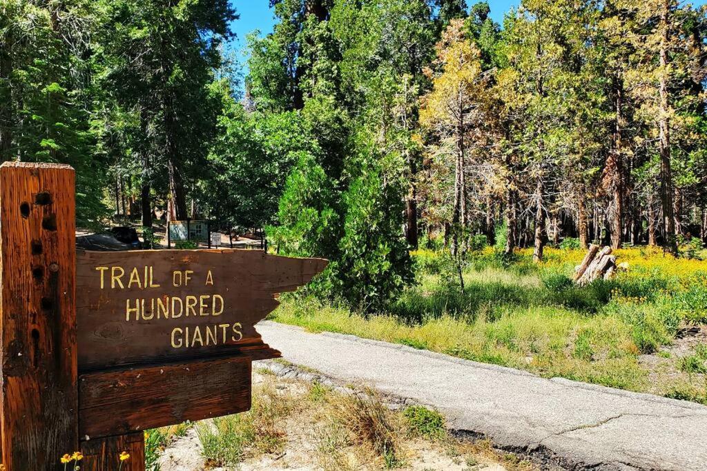 Redwood Retreat, Mountains, Adventure And Nature Ponderosa Εξωτερικό φωτογραφία