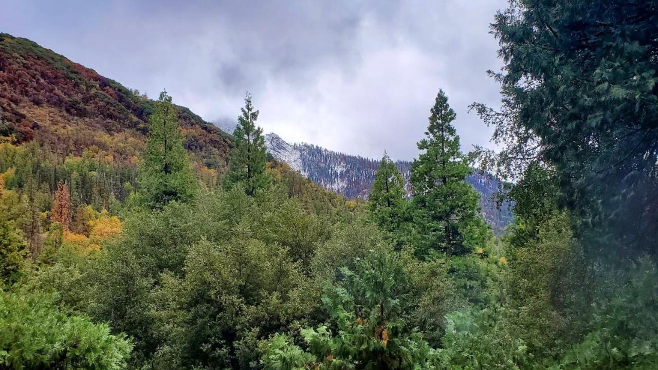 Redwood Retreat, Mountains, Adventure And Nature Ponderosa Εξωτερικό φωτογραφία