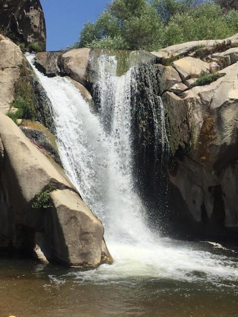 Redwood Retreat, Mountains, Adventure And Nature Ponderosa Εξωτερικό φωτογραφία