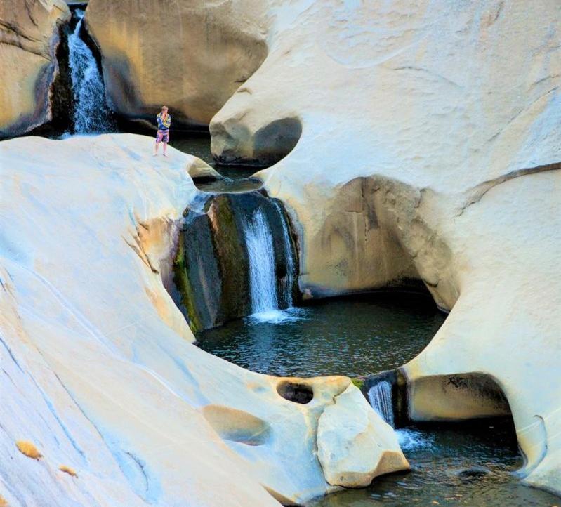 Redwood Retreat, Mountains, Adventure And Nature Ponderosa Εξωτερικό φωτογραφία