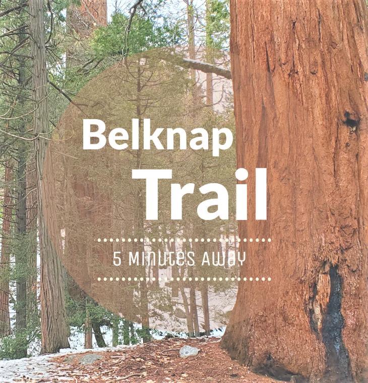 Redwood Retreat, Mountains, Adventure And Nature Ponderosa Εξωτερικό φωτογραφία